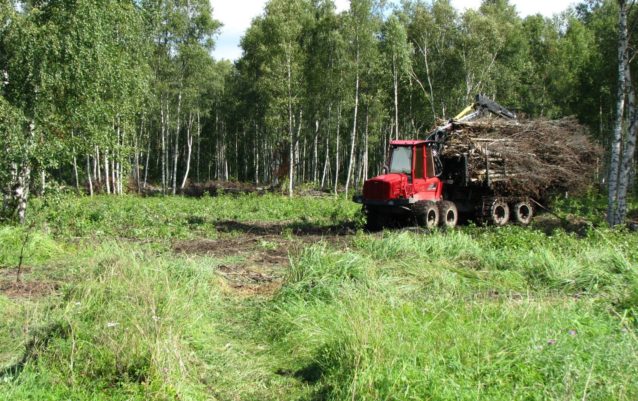 Forvarder traktor Forwarder metsas